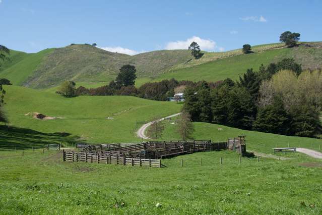 44 Coates Road Waikite Valley_2