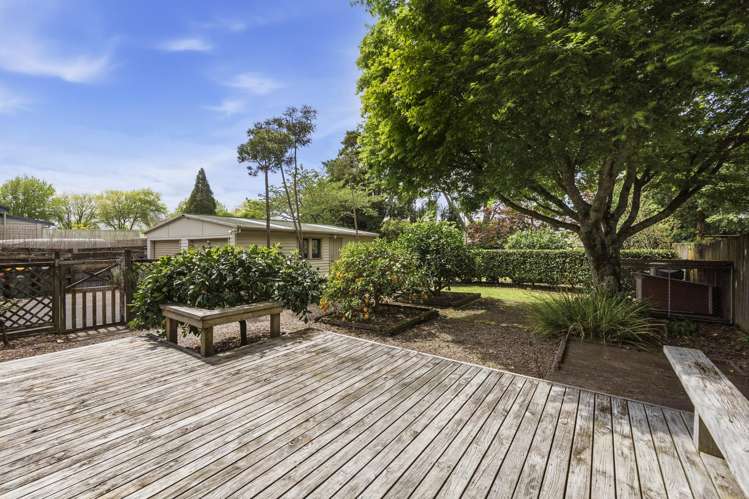 18 Kitchener Street Claudelands_20
