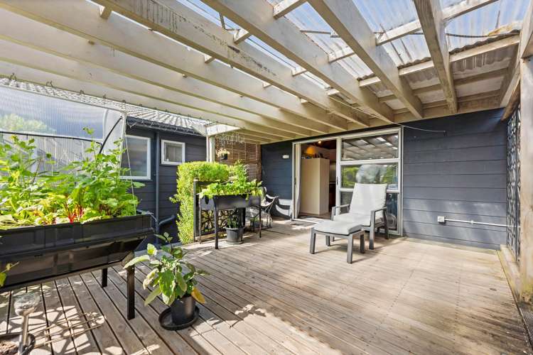 42a Forest Hill Road Henderson_17