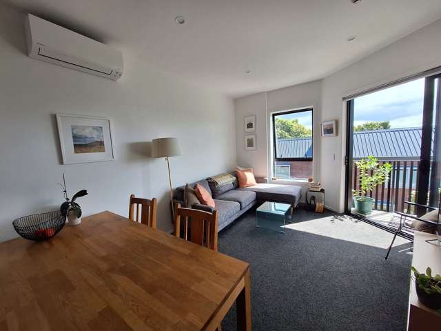 203/1C Oakley Avenue Waterview_2