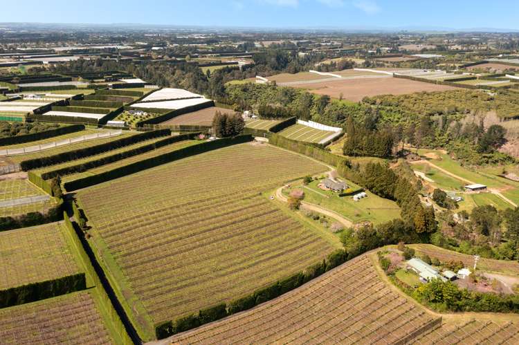 388 Manoeka Road Te Puke_5
