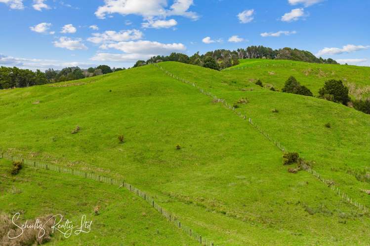 232 Arcadia Road Paparoa_2