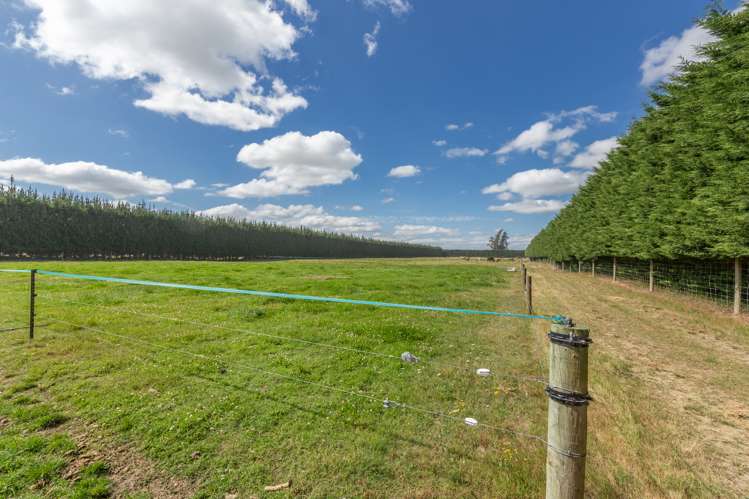 1217 Hoskyns Road Kirwee_33