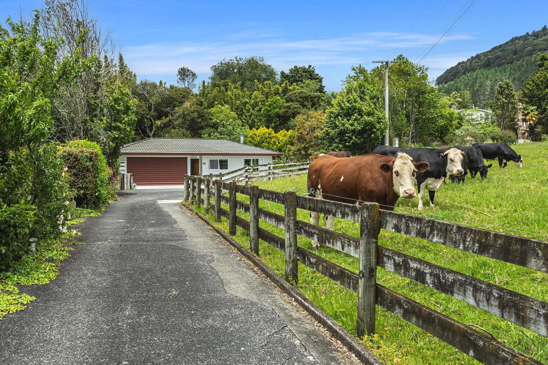 20A Tuatara Drive Te Kamo_0