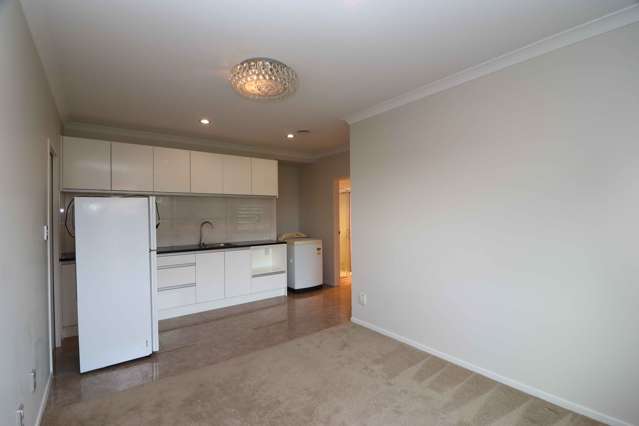 Granny Flat/65 Castlederg Drive Flat Bush_2
