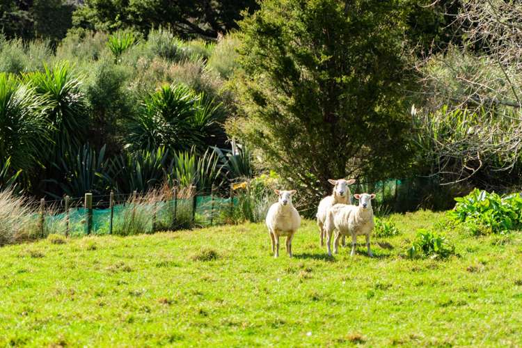 25 Pebblebrooke Road Mangawhai_51