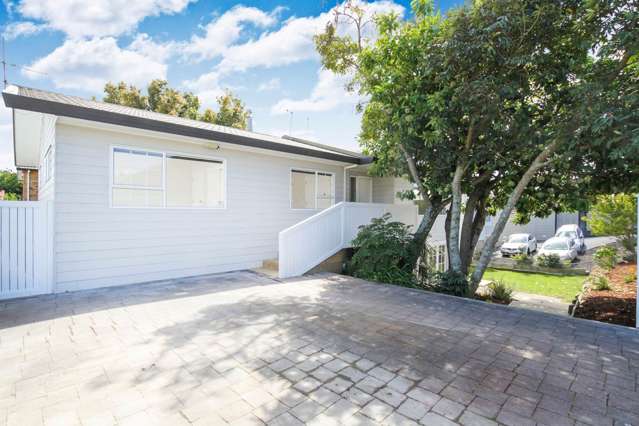 2a Fifth Avenue Mount Albert_1