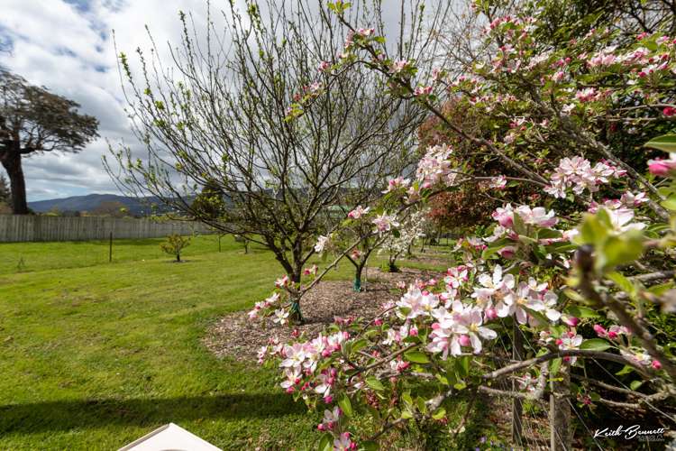 76 Gorrie Road Mangaroa_20