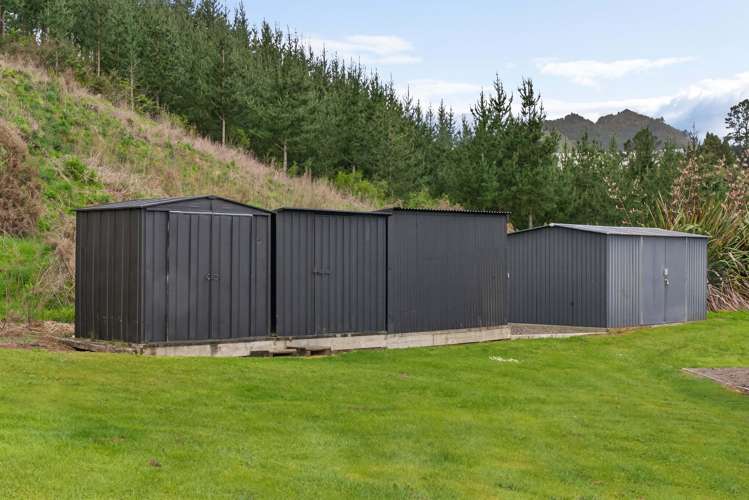 1354 No 3 Road Te Puke_23