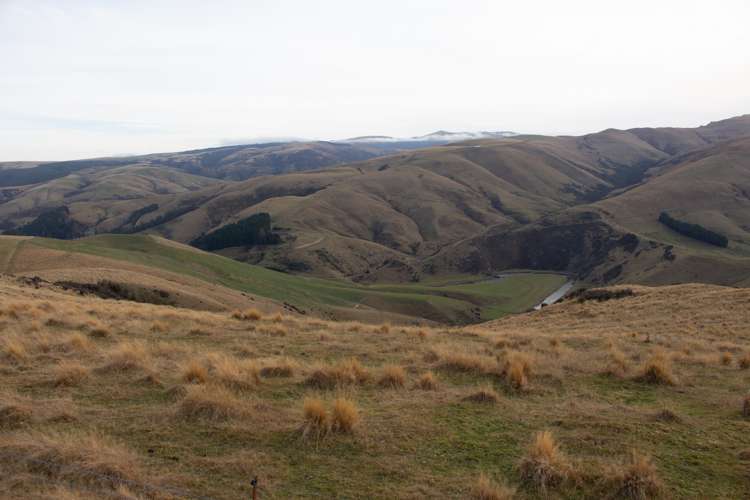 901 Wilden Runs Road West Otago Surrounds_14
