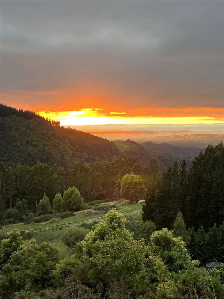 385 Glentui Bush Road Glentui_7