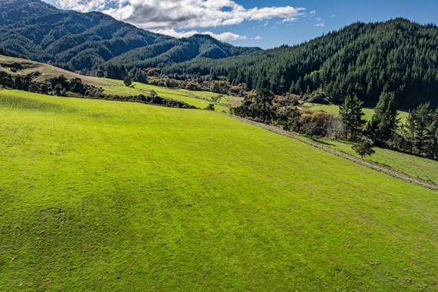 1642 Motueka River West Bank Road Motueka Valley_1