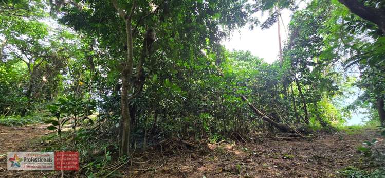 Address withheld Savusavu_25