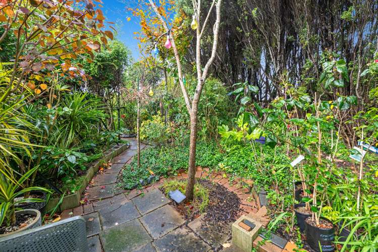 67 Matija Place Red Beach_30