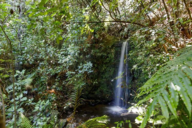 1342 Akatarawa Road Akatarawa_18