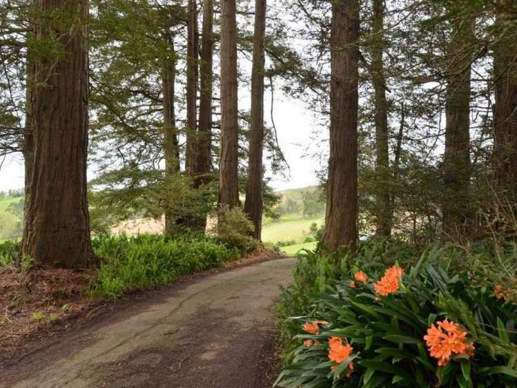 88 Kokopu Block Road Maungatapere_16