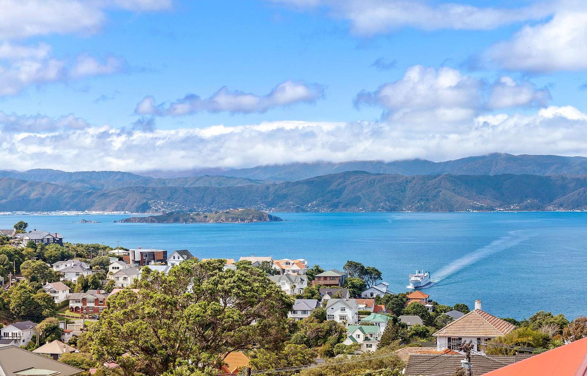 80 Pitt Street Wadestown_0