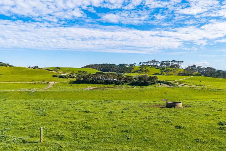 559 Mahuta Road Dargaville_30