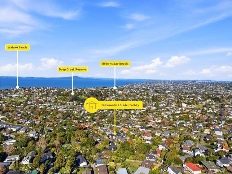 14 Gerontius Glade Torbay_39