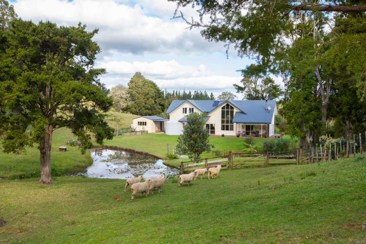 17 Christine Place Warkworth_11