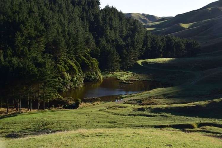 321 Boom Rock Road Ohariu_12