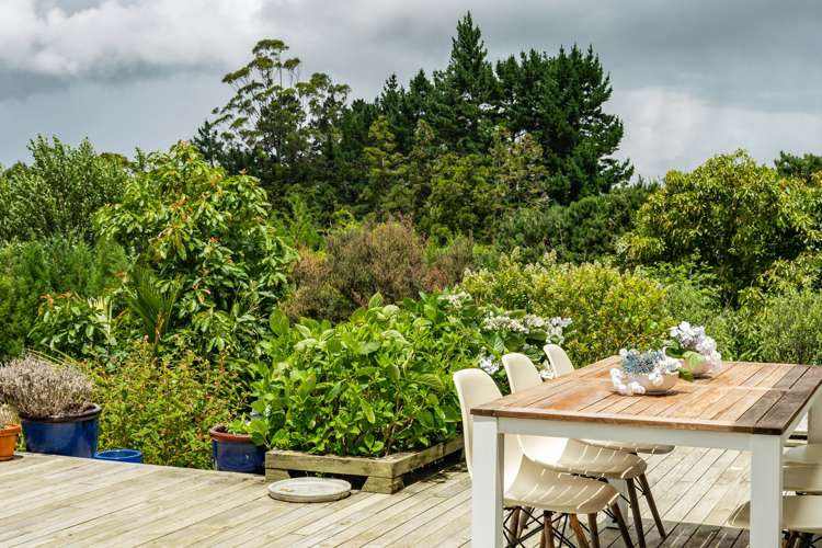 381 Tara Road Mangawhai_15