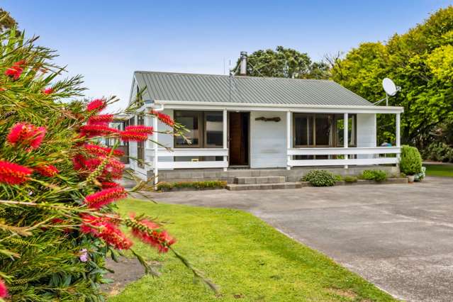 369 Patiki Road Pihama_2