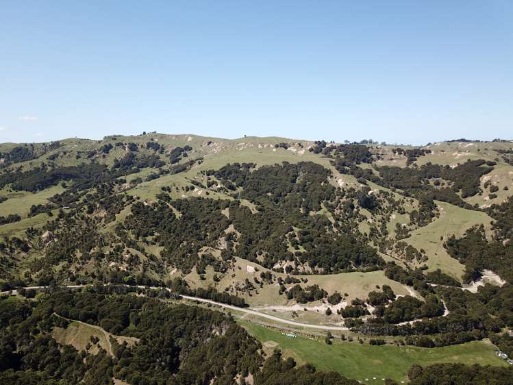 1050 Ellis Wallace Road Eskdale_5