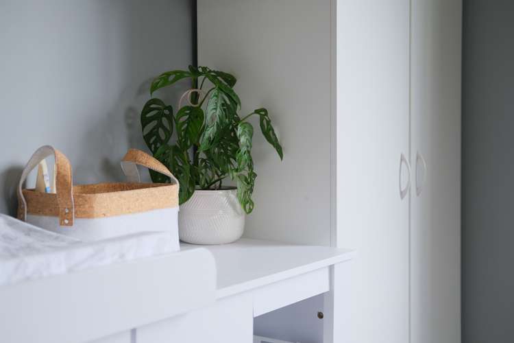 45 North Taieri Road Abbotsford_25