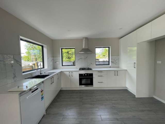 23B Don Buck Road Massey_2