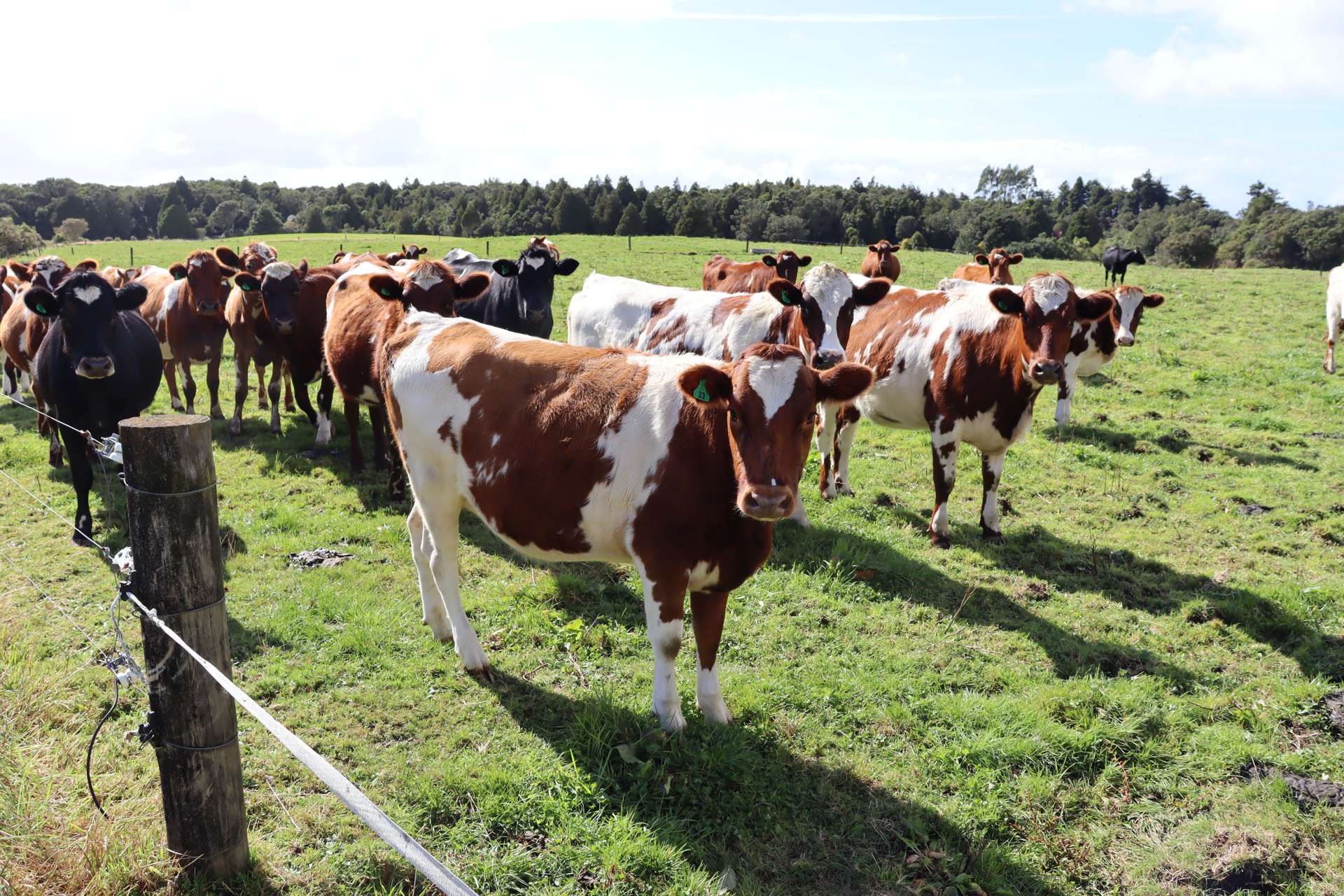 970 Pembroke Road West Stratford West_0