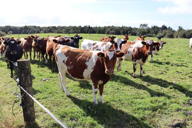 STRATFORD GRAZING / FINISHING FARM