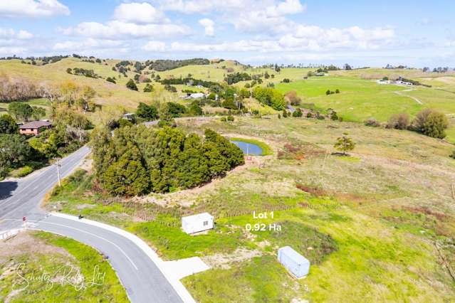 Whakapirau Road Maungaturoto_4