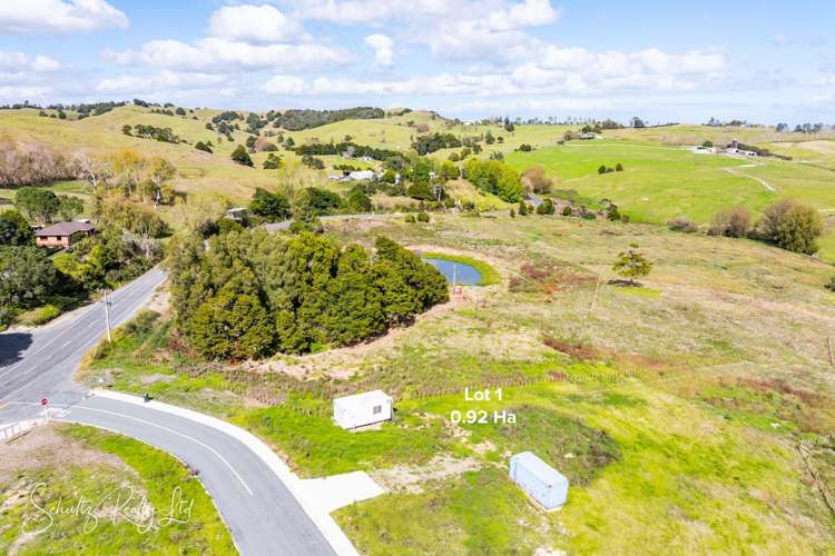 Whakapirau Road_3
