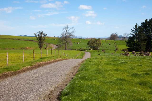 2175 Morrinsville-Walton Road Richmond Downs_2