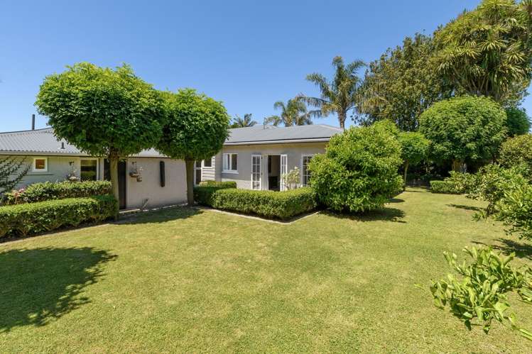 44 Harvey Street Avenues_22