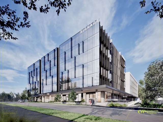 Whole Building/9 - 15 Marewa Road Greenlane_1