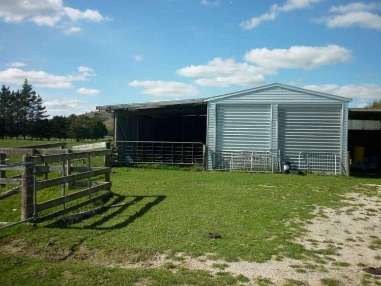 175 Awakino Point East Road Dargaville Surrounds_9