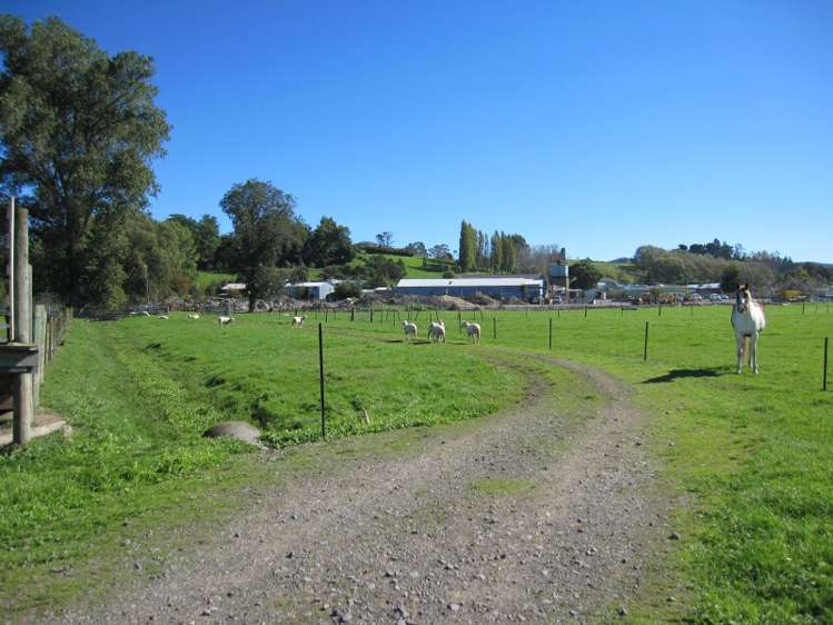 17a Mcgreevy Street Waipawa_3