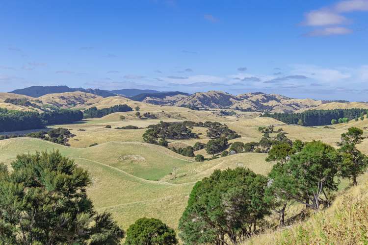 219 Te Kanuka Road Masterton_3