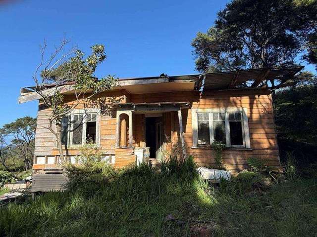Wanaka couple buy decrepit Great Barrier bach for $335,000 as crowds descend on island