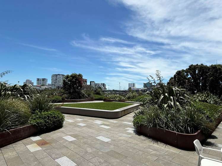 59 France Street Eden Terrace_9