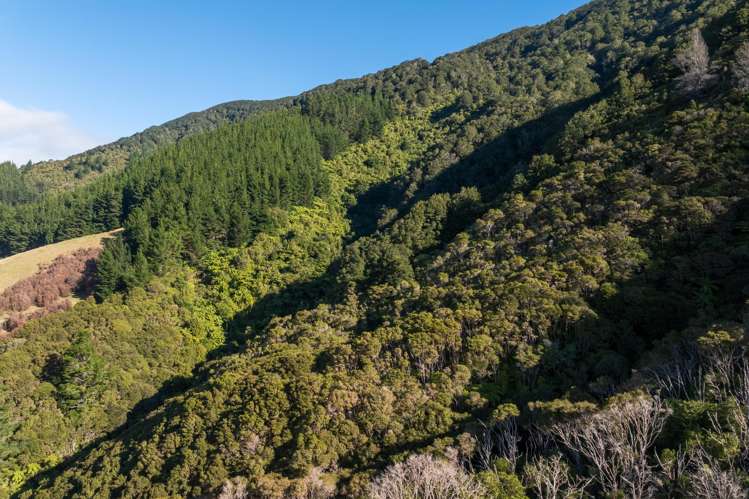 803 Manaroa Road Marlborough Sounds_41