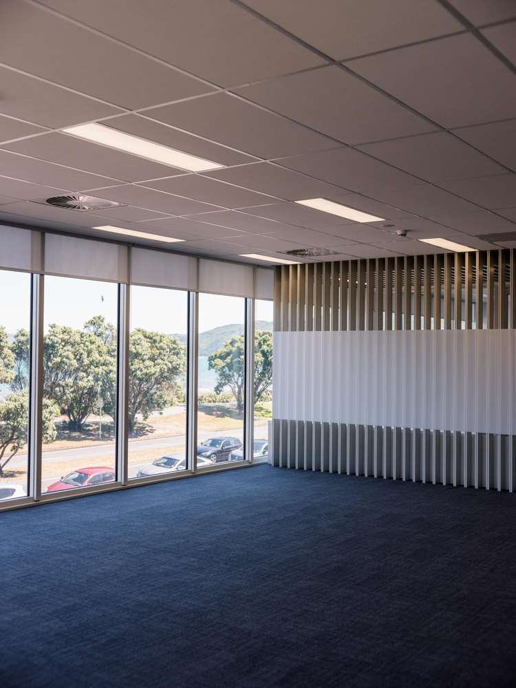 81 The Esplanade Petone_9