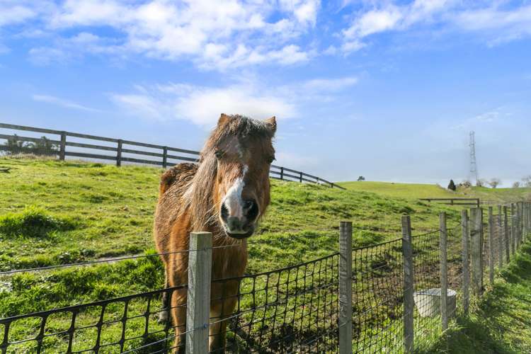 139 Penny Road Pirongia_17