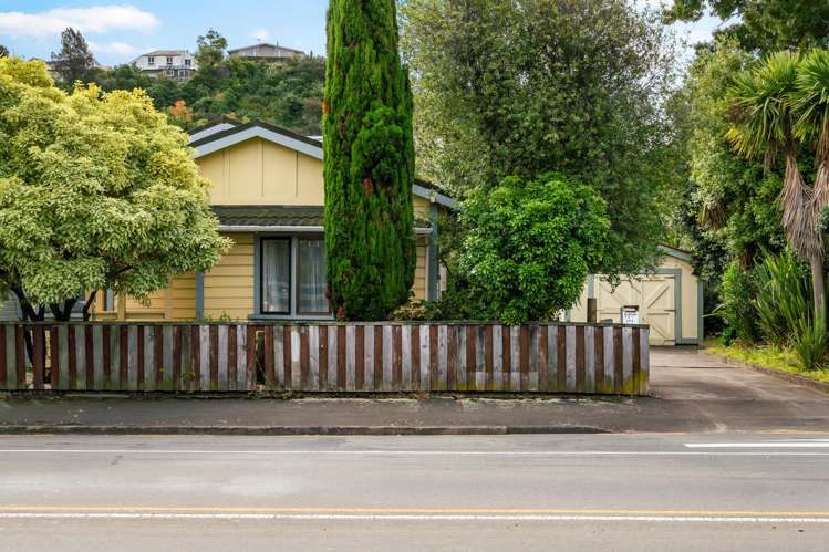 151 Carlyle Street Napier South_11