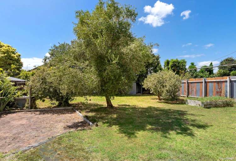 24 Arran Street Avondale_12