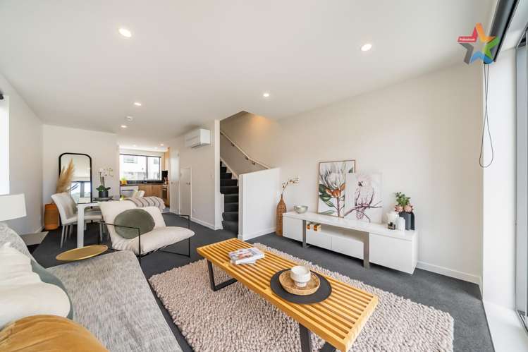 15 Te Ara O Te Amo Hohipene Petone_1