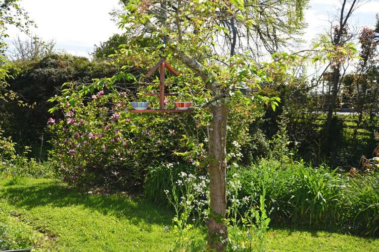 77 Regent Street Martinborough_16