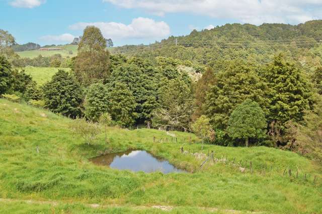 112 Tawa Avenue Kaiwaka_3